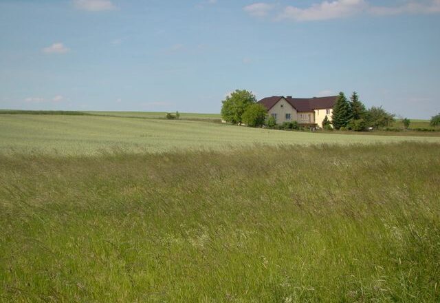 Jakie długi można objąć restrukturyzacją gospodarstwa rolnego?